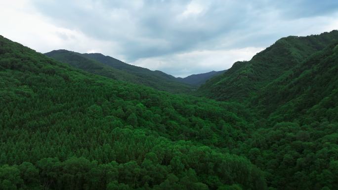 六盘山国家森林公园