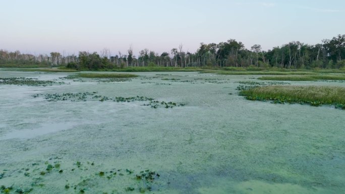 马里兰湿地河滩河岸河面