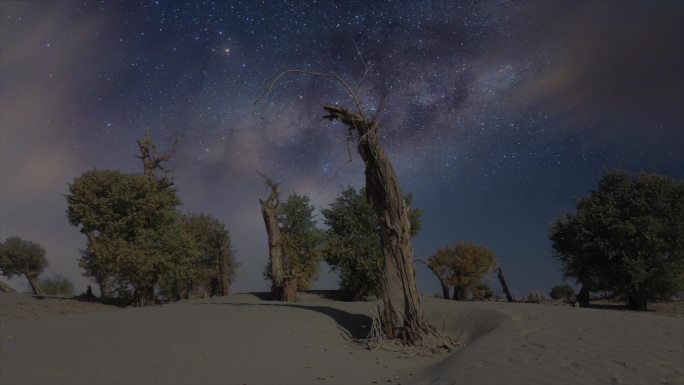 西域胡杨星空 日转夜 银河 4K