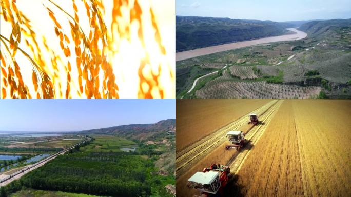 绿色农田 绿色自然