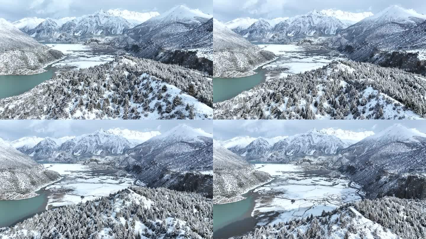 西藏昌都然乌湖，雪山，森林的航拍自然风光