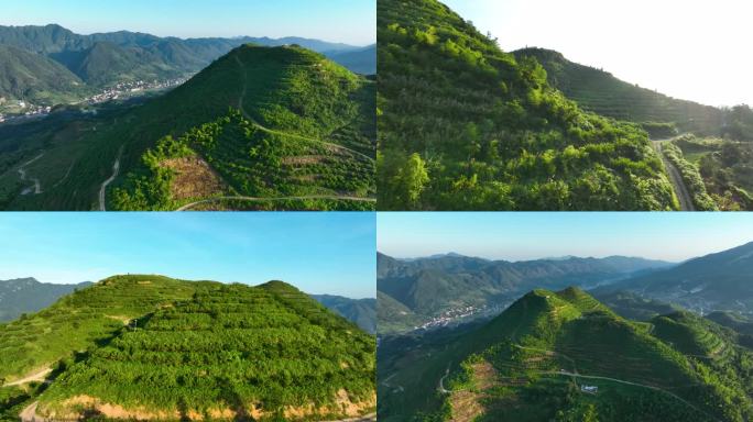 航拍冷水江水云峰高山黄桃种植基地4