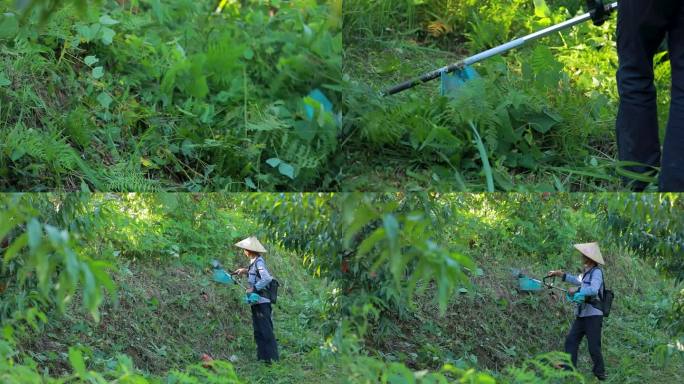 高山种植果园基地农民除草护果树