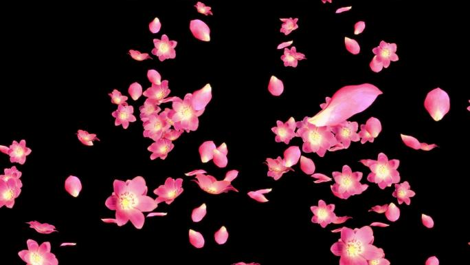 飞舞的粉色花朵冲屏-1（透明底）