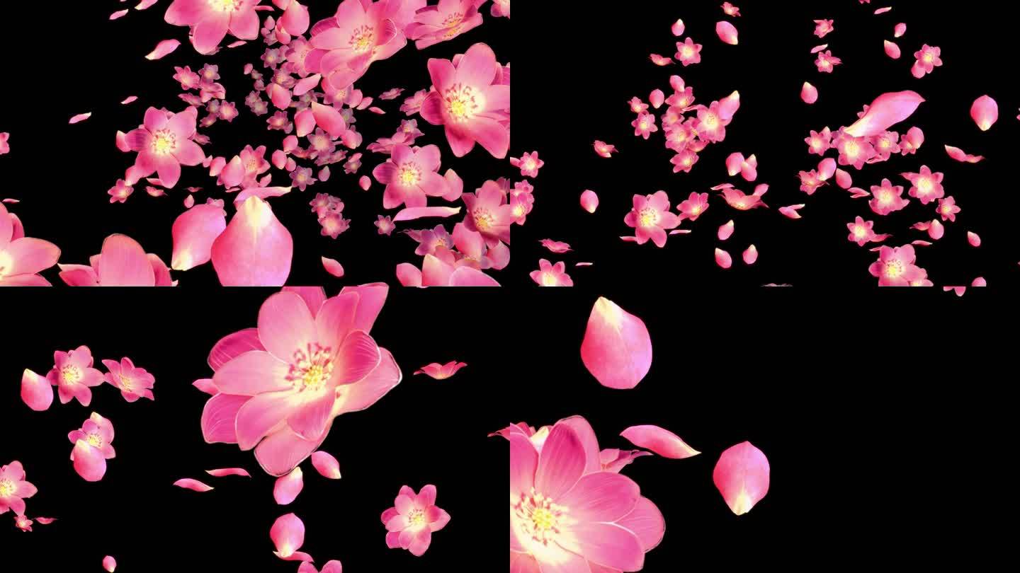 飞舞的粉色花朵冲屏-1（透明底）
