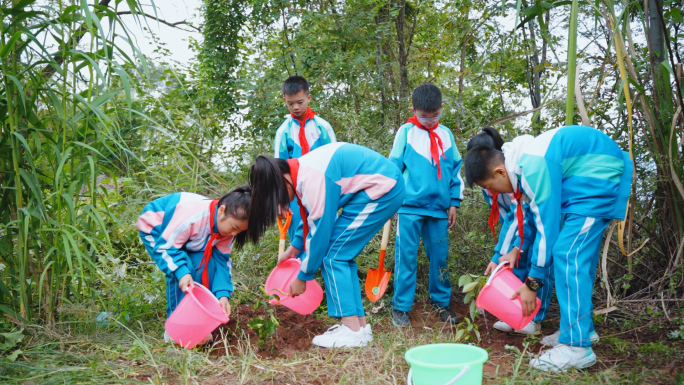 学生植树节植树活动