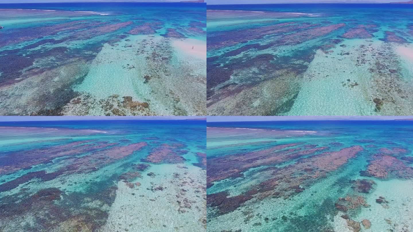 唯美大海五彩缤纷的珊瑚海航拍