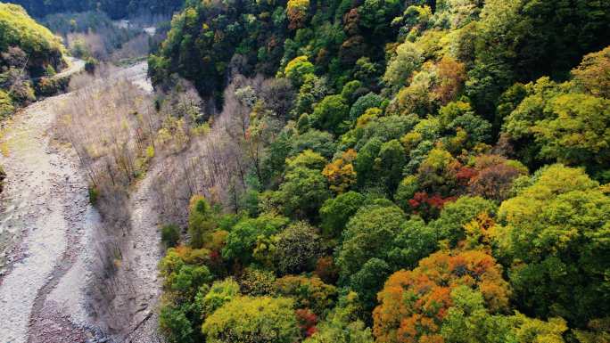 秦岭终南山黄柏塬秋季红叶风景