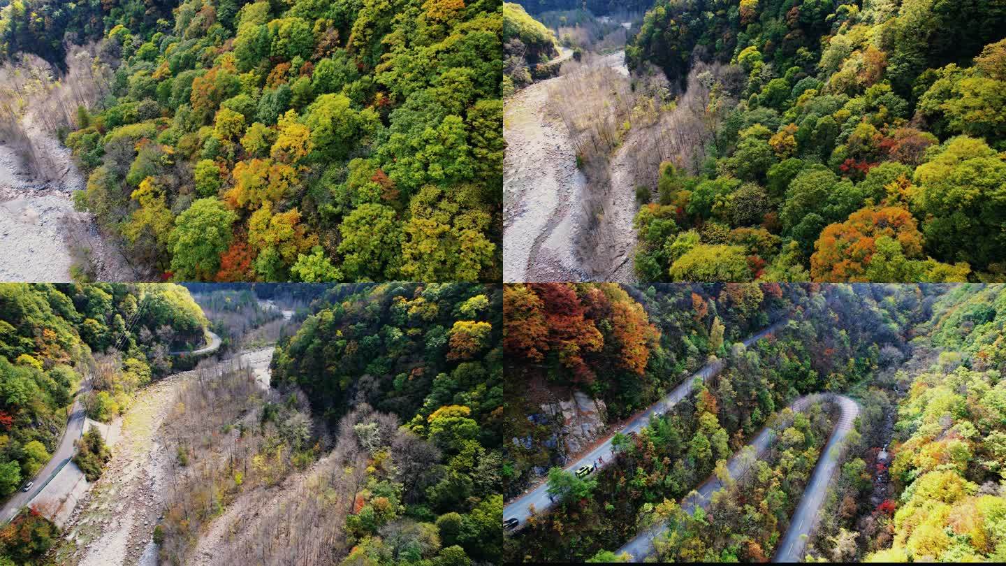 秦岭终南山黄柏塬秋季红叶风景