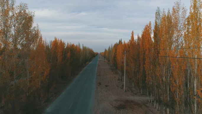 新疆哈密：田园秋色
