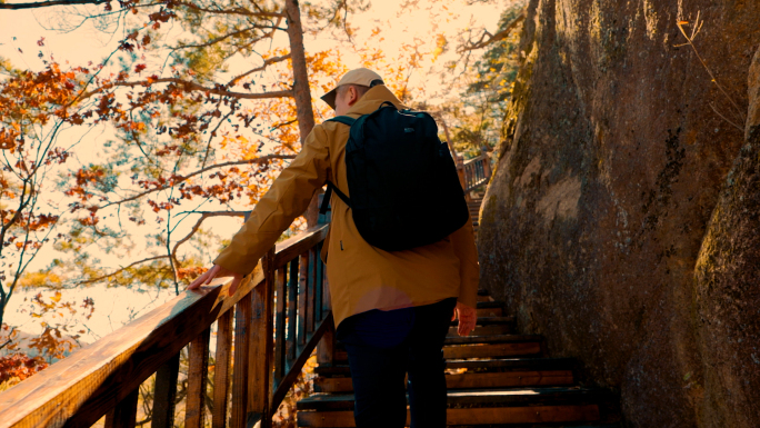 秋天爬山登山赏枫叶徒步旅行逆光背影脚步