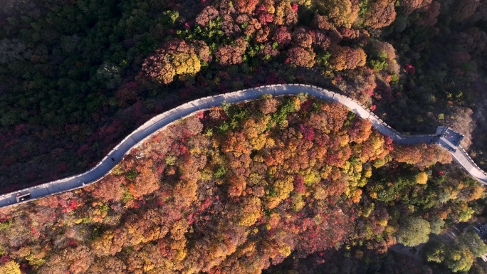 航拍秋日巍峨雄伟八达岭长城