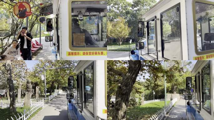 秋季秦岭野生动物园动物园游玩西安旅游