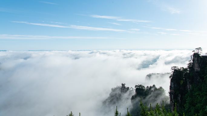 天子山云雾延时