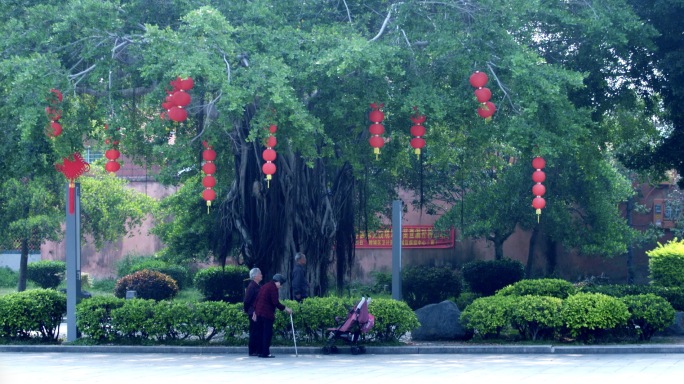 福建泉州大榕树下休闲的人