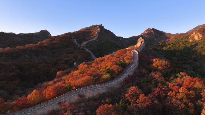 航拍秋日巍峨雄伟八达岭长城