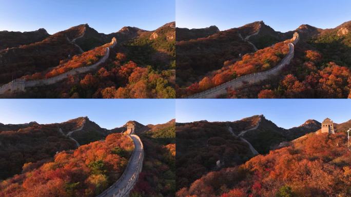 航拍秋日巍峨雄伟八达岭长城