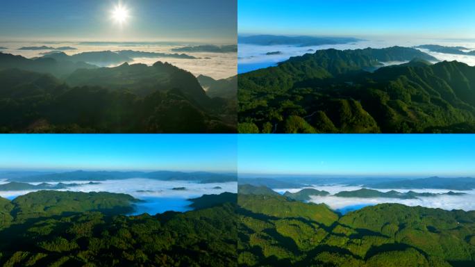 日出云海山森林大自然