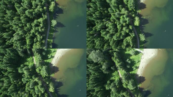 夏季，加拿大温哥华，湖岸线对着松树的俯视图