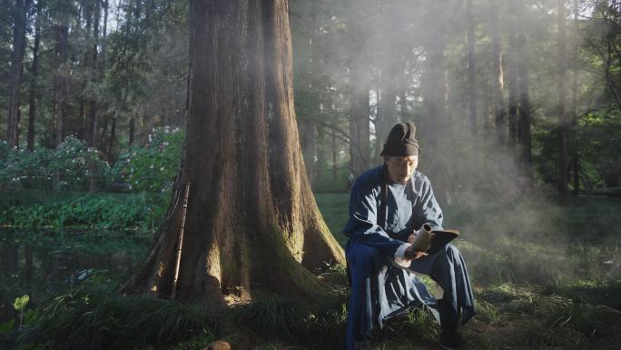 古人在烟雾缭绕的森林中看书读书