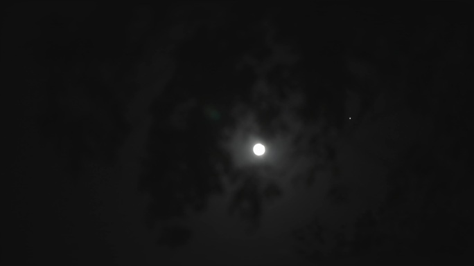 (4K商用)月亮 深夜 时间树影中的月亮