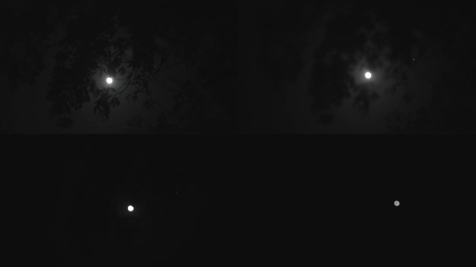 (4K商用)月亮 深夜 时间树影中的月亮