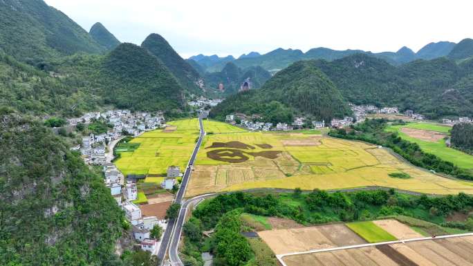 兴义万峰林水稻机收