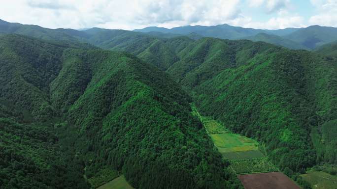 六盘山国家森林公园