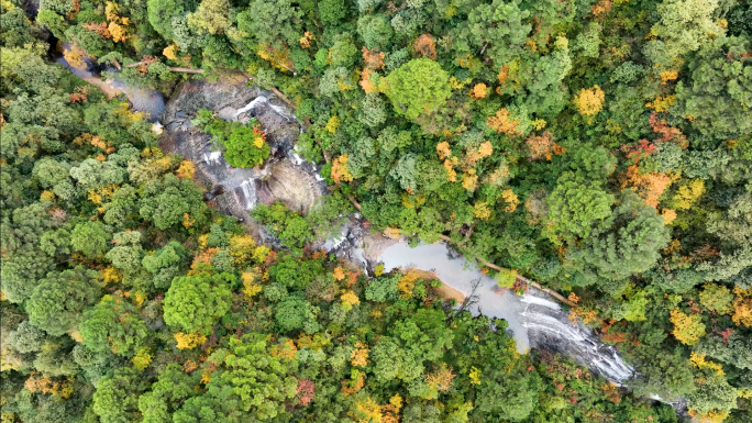 龙苍沟森林公园天生桥秋色彩林航拍风景