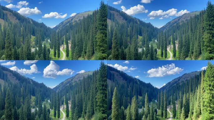 伊犁 恰西 风光延时