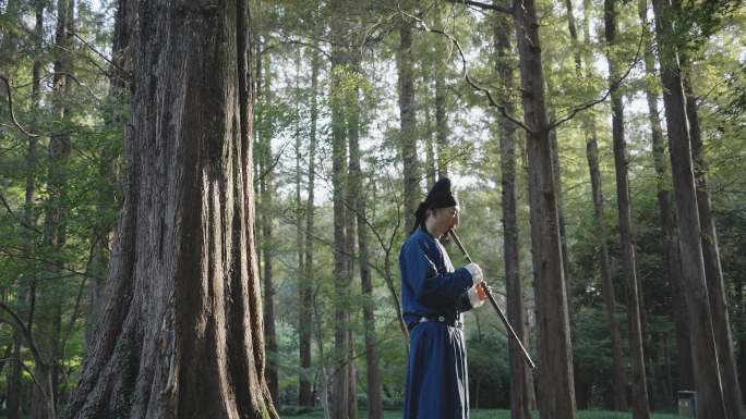 古代古装古人在森林中吹洞箫