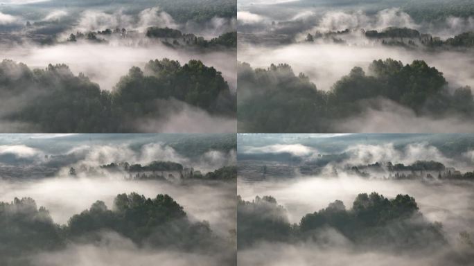 云雾林海山雾自然风光氛围感