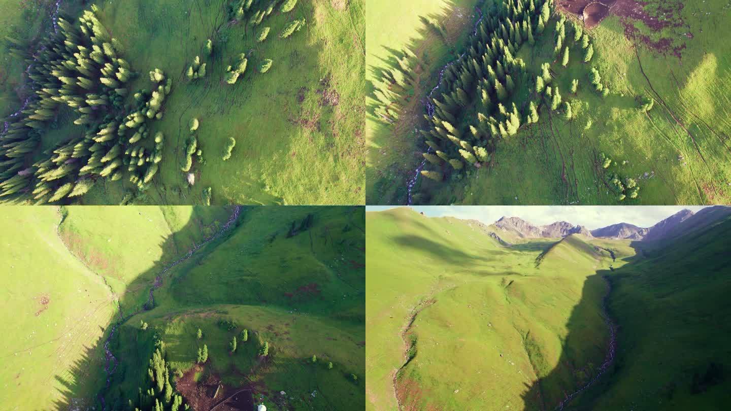 伊犁州那拉提草原无人机航拍