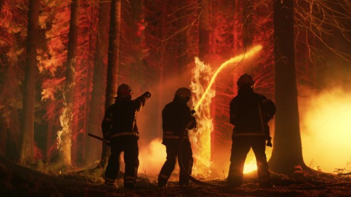 经验丰富的消防员扑灭森林深处的野火。穿着安全制服和头盔的专业人员在树林中喷水灭火