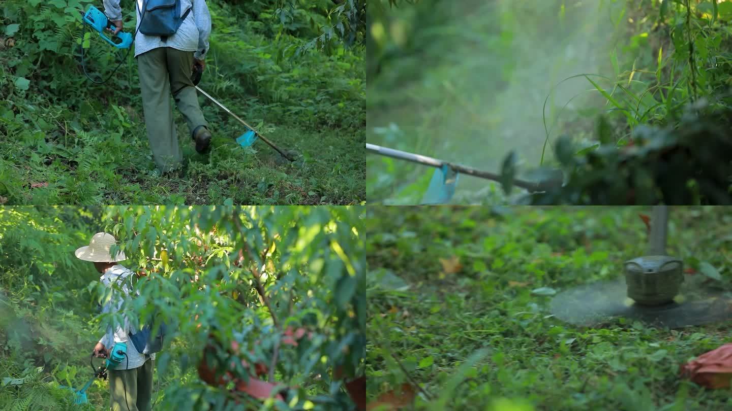 高山种植果园基地农民除草护果树2