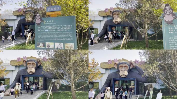 秋季秦岭野生动物园动物园游玩西安旅游