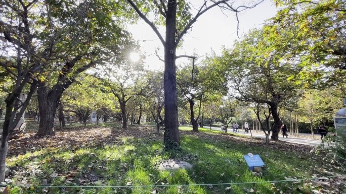 秋季秦岭野生动物园动物园游玩西安旅游