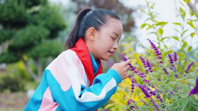 女孩轻嗅花朵闻花香