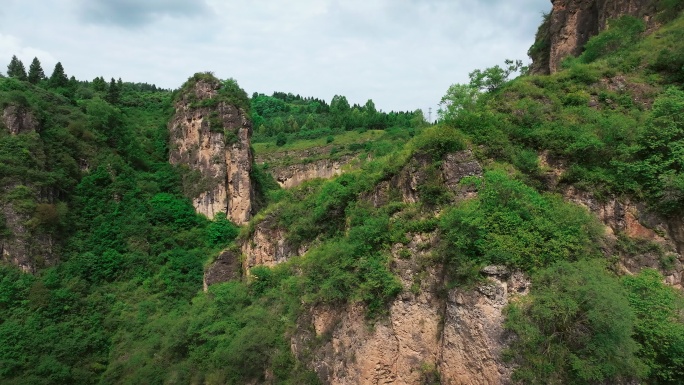 六盘山国家森林公园