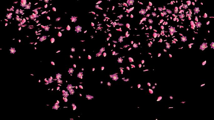 飞舞的粉色花朵花瓣-2（透明底）