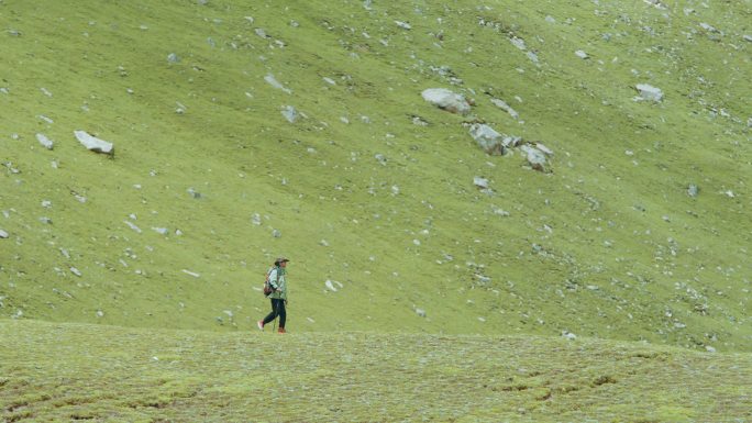 男子在草原上仰望雪山
