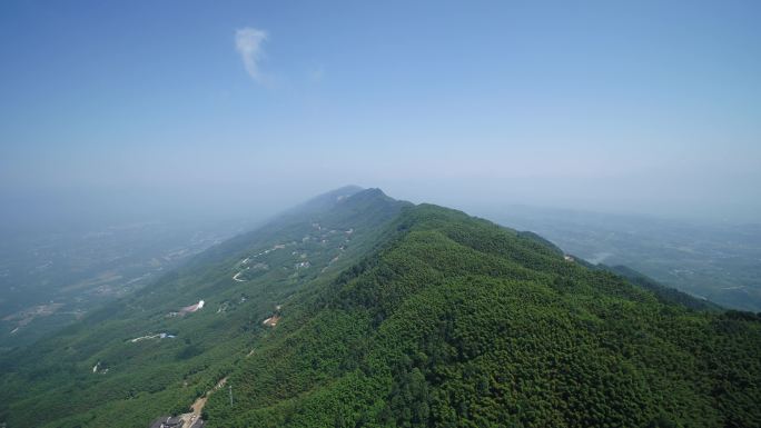 重庆茶山竹海