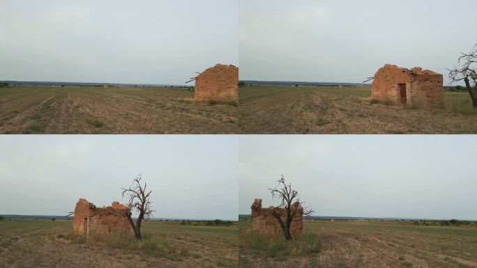 在乡下，一间破旧的小屋孤零零地坐落在一棵腐烂的树旁边