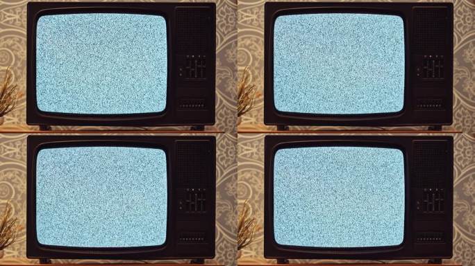 LD男手打开一台旧电视，屏幕上显示出噪音