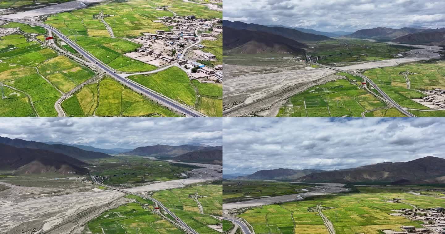 航拍西藏日喀则市萨迦县青稞农田风光