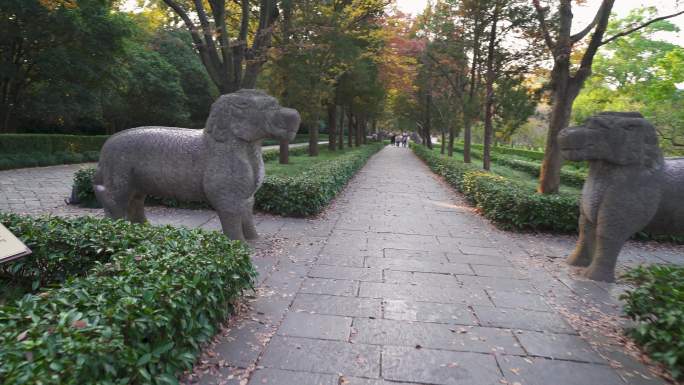 南京明孝陵风景区石象路石麒麟