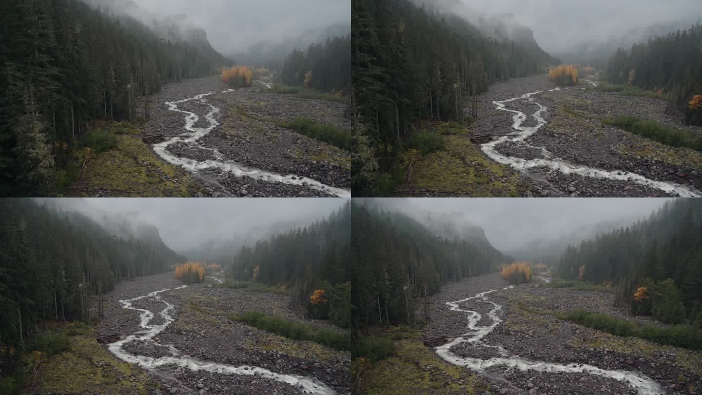 多云雾天，华盛顿雷尼尔山国家公园尼斯奎里河的神秘景观