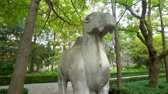 南京明孝陵风景区石象路石骆驼