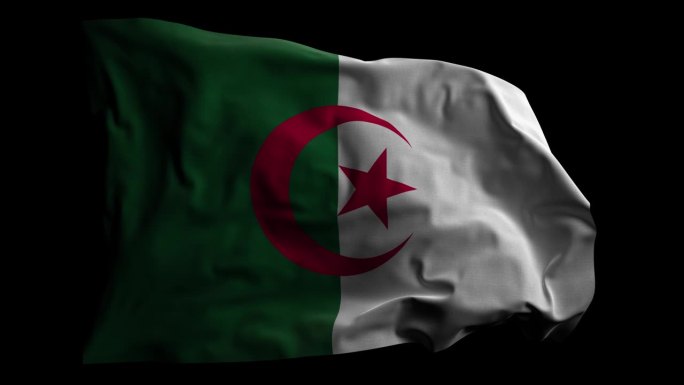 阿尔及利亚国旗与阿尔法频道，可循环