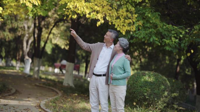 幸福生活 老人生活